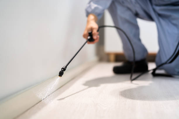 Licensed Rodent Control service in Highland Village, TX - Nex Pest Control