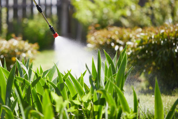 24/7 Emergency Rodent Control experts in Highland Village, TX