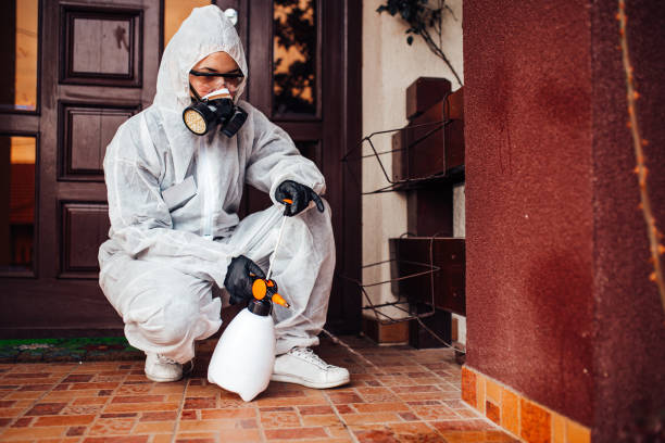 Reliable Rodent Control contractor in Highland Village, TX by Nex Pest Control